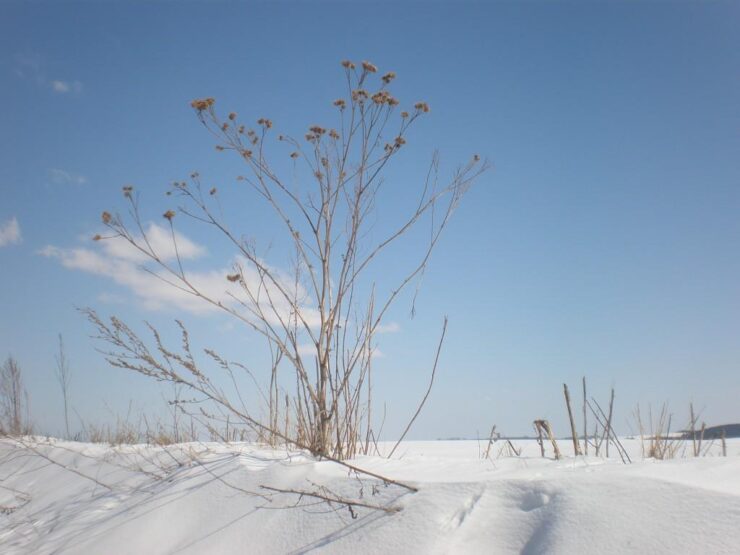 Winterlandschaft am Schwalbenhof, Foto: Andrea Glös-Hiller